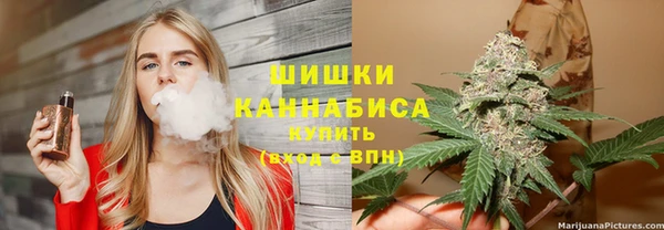 СК Богородицк