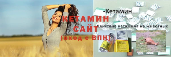 СК Богородицк