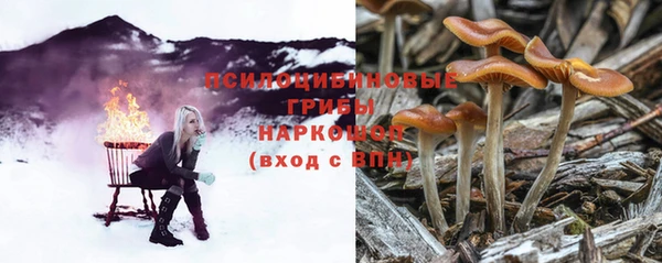 каннабис Бородино