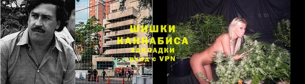 СК Богородицк