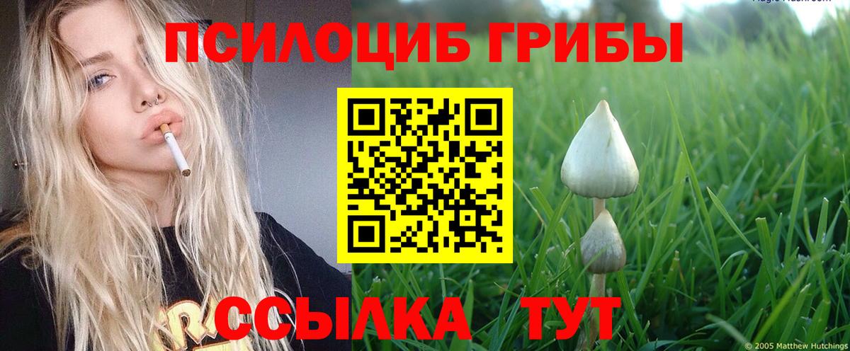 Галлюциногенные грибы Psilocybine cubensis  Вход с VPN  Псилоцибиновые грибы MAGIC MUSHROOMS  Нерюнгри 