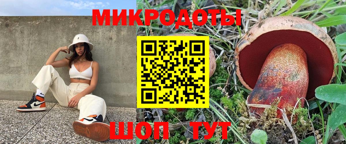 Псилоцибиновые грибы прущие грибы Нерюнгри